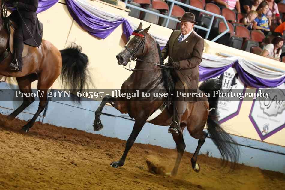 Proof 21YN_60597