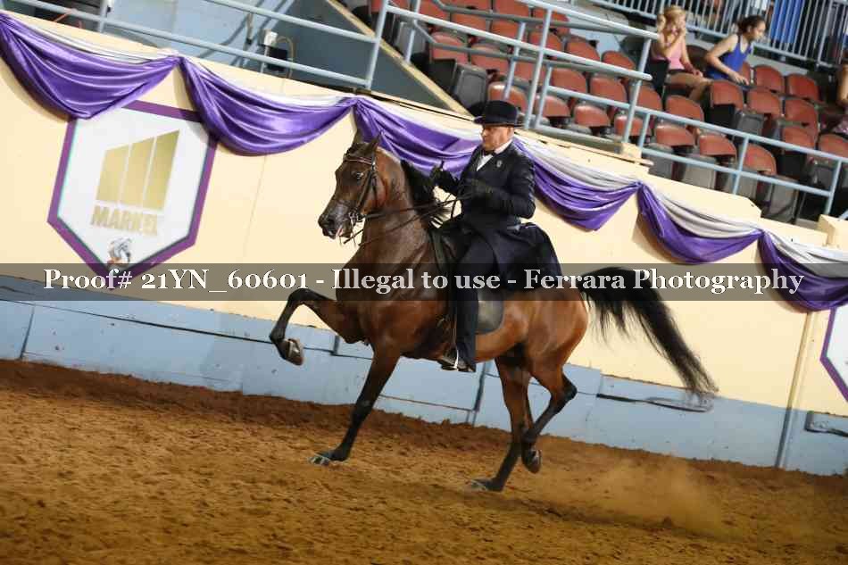 Proof 21YN_60601