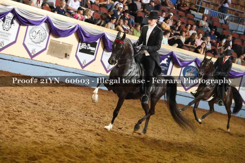 Proof 21YN_60603