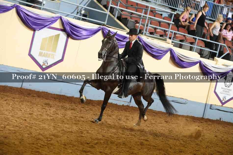 Proof 21YN_60605