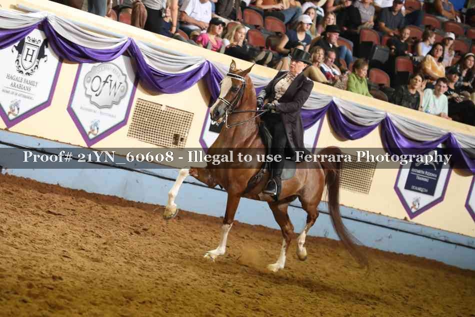 Proof 21YN_60608