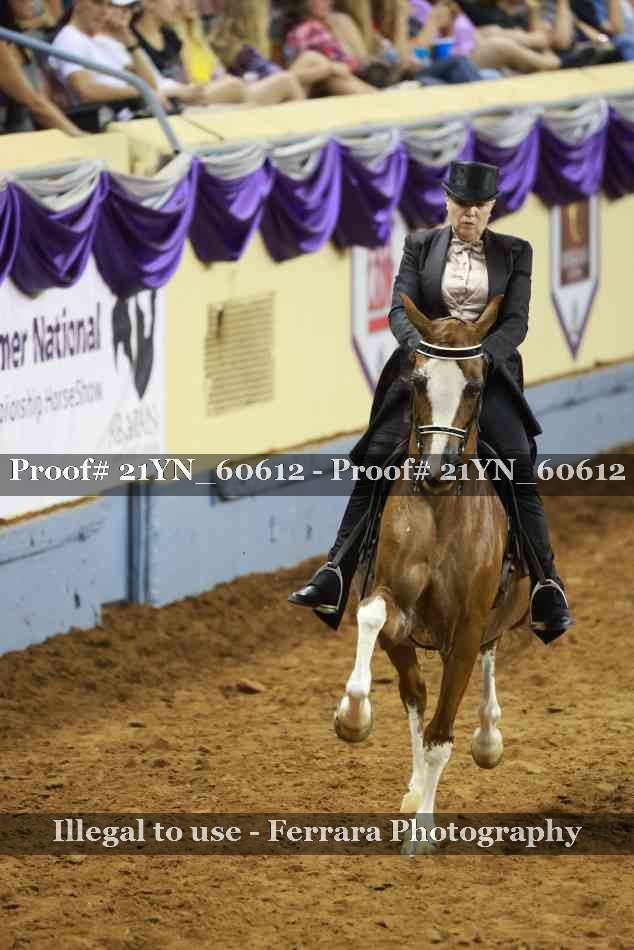 Proof 21YN_60612