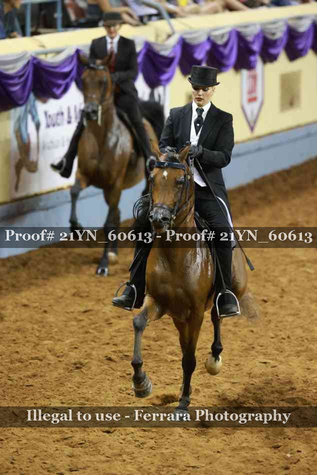 Proof 21YN_60613