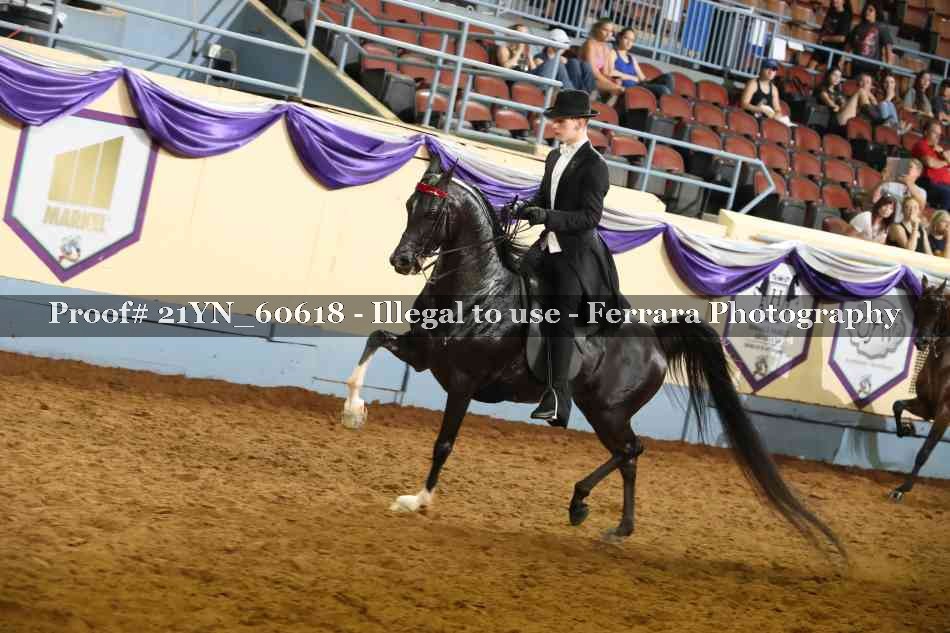 Proof 21YN_60618