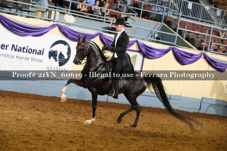 Proof 21YN_60619