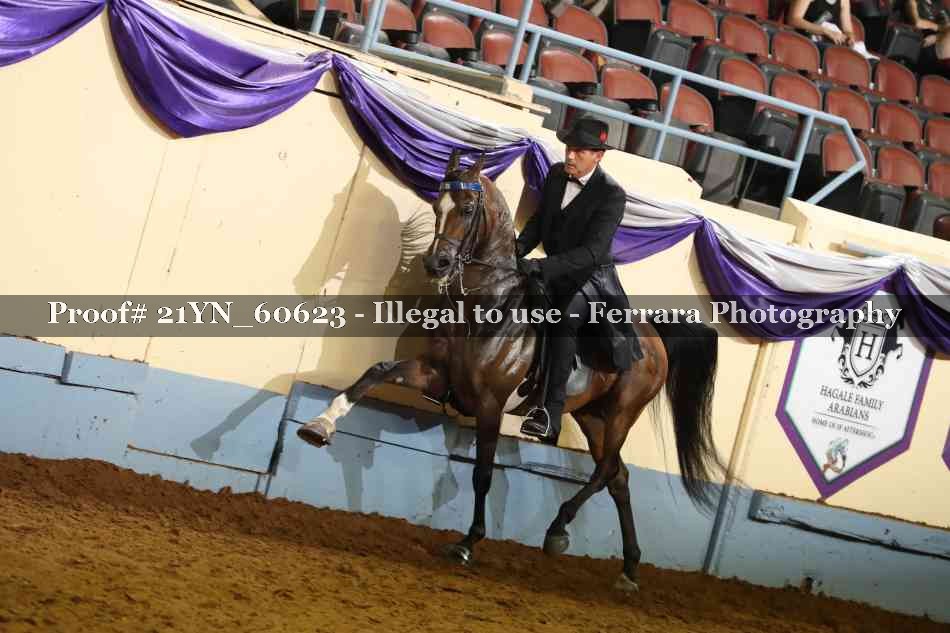 Proof 21YN_60623