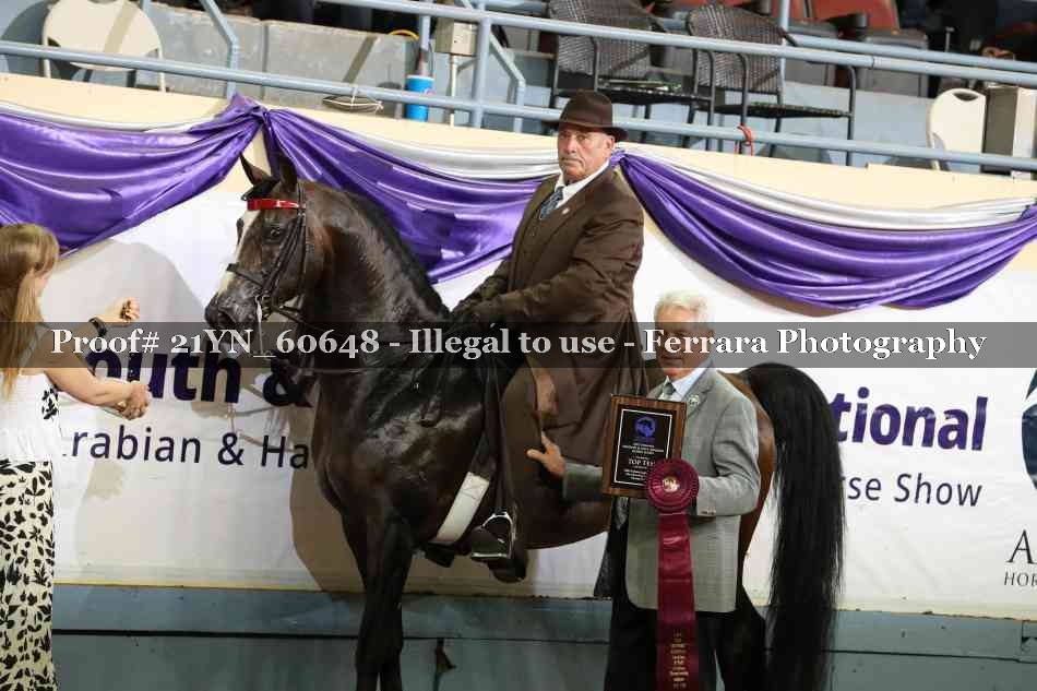 Proof 21YN_60648