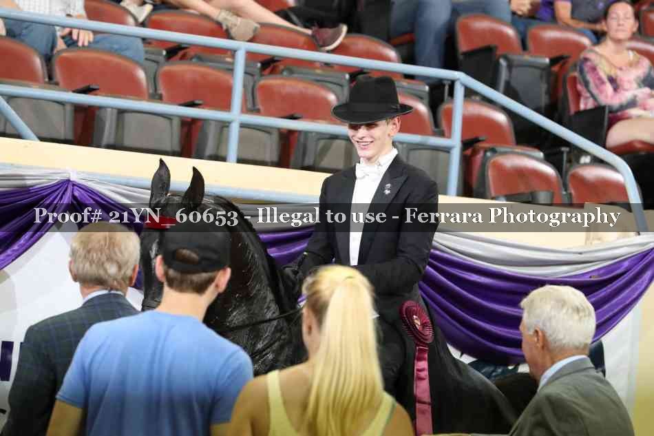 Proof 21YN_60653
