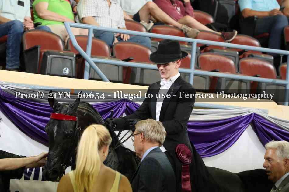 Proof 21YN_60654