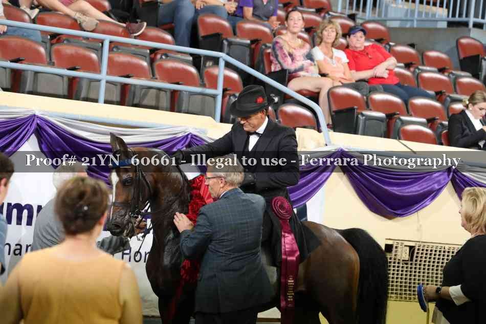 Proof 21YN_60661