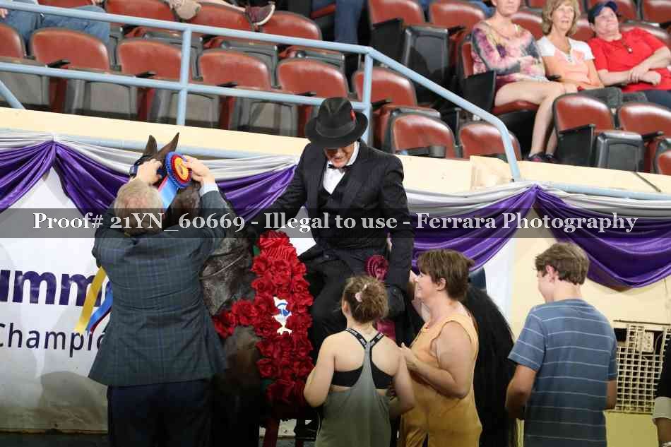 Proof 21YN_60669