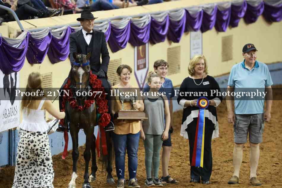 Proof 21YN_60677