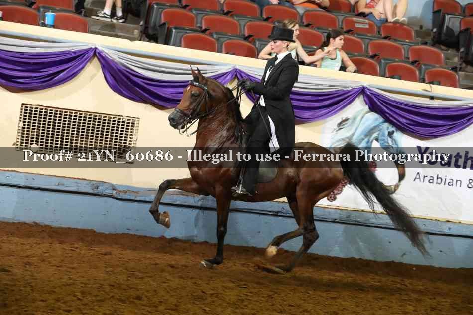 Proof 21YN_60686
