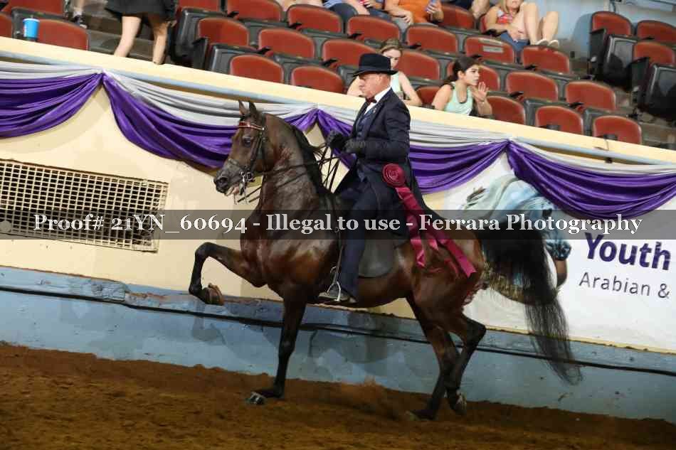 Proof 21YN_60694