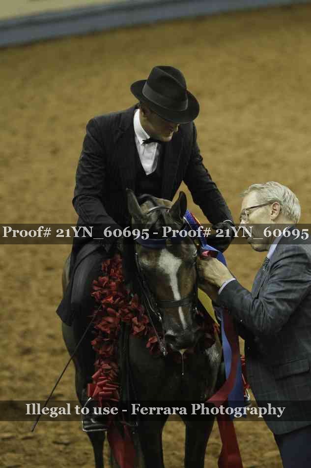 Proof 21YN_60695
