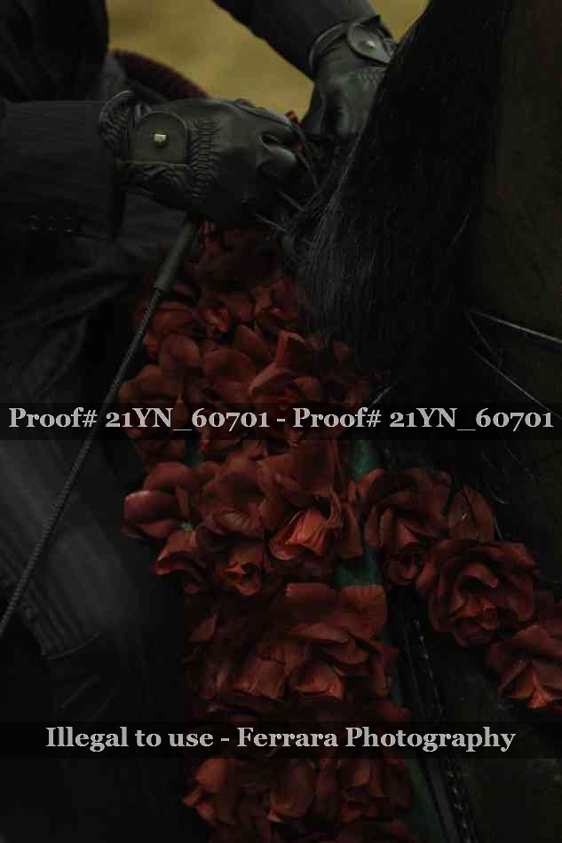 Proof 21YN_60701