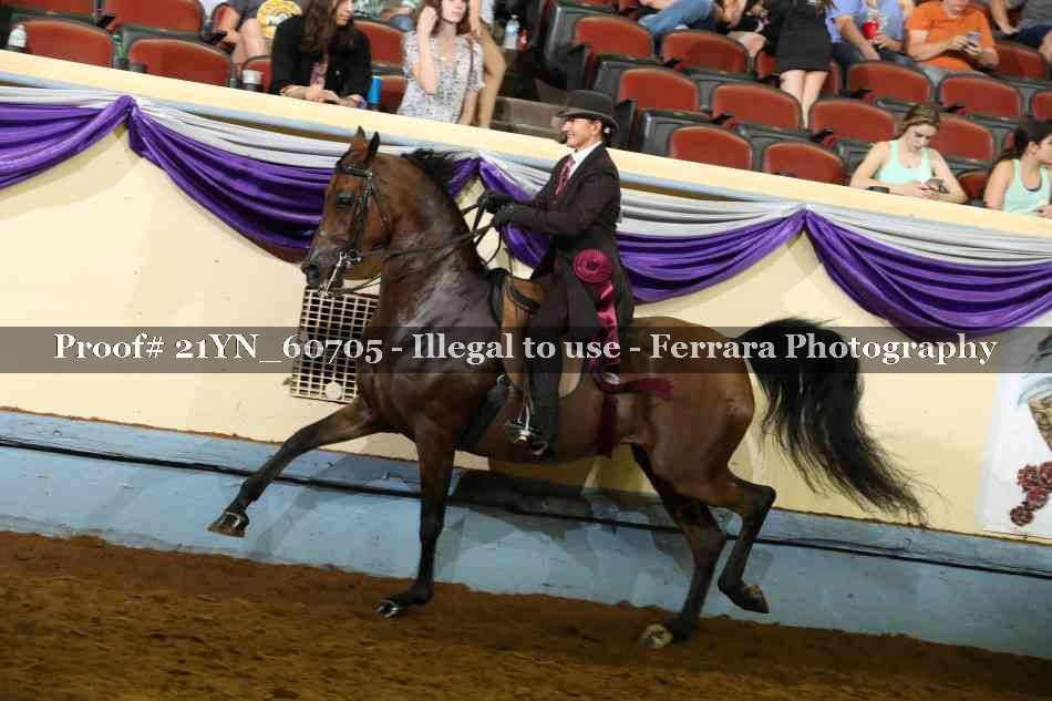 Proof 21YN_60705