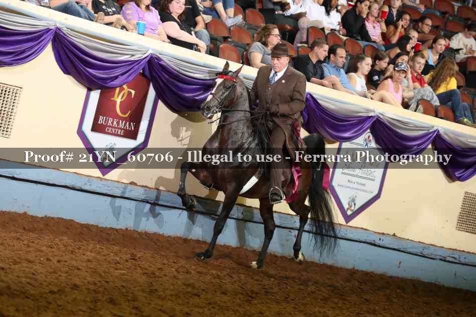 Proof 21YN_60706