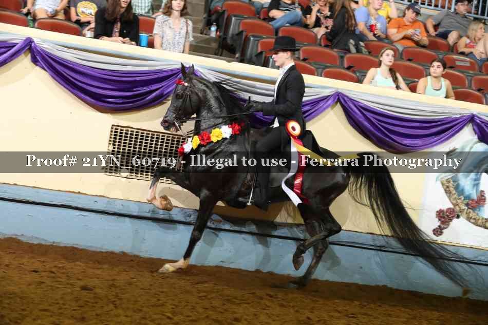 Proof 21YN_60719
