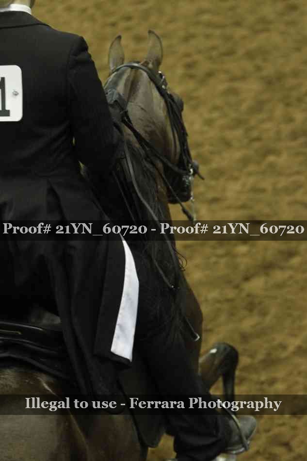 Proof 21YN_60720