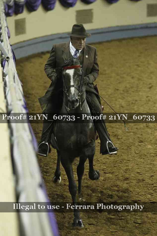 Proof 21YN_60733