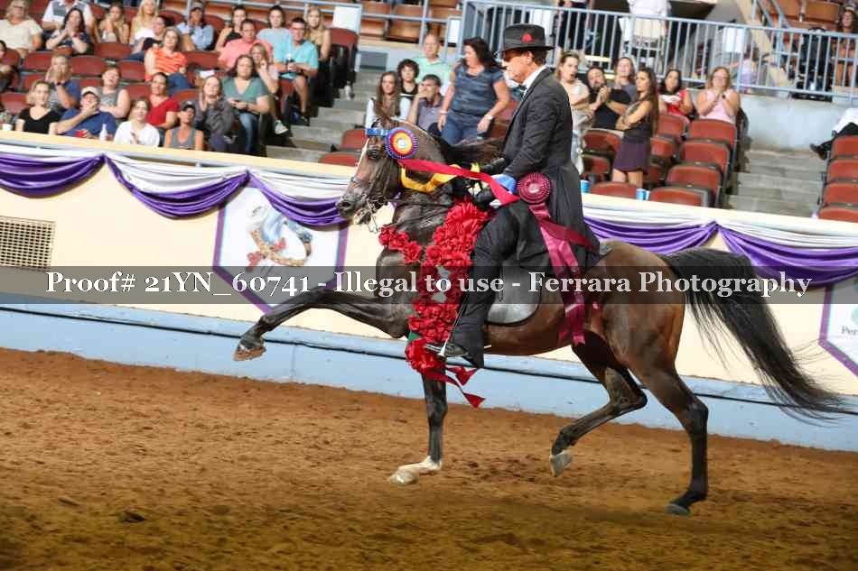 Proof 21YN_60741
