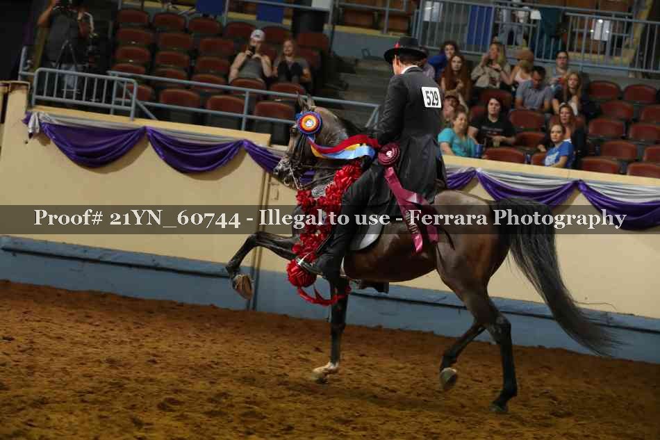 Proof 21YN_60744