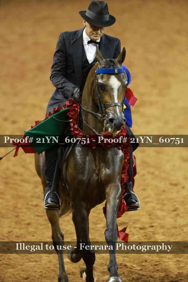 Proof 21YN_60751