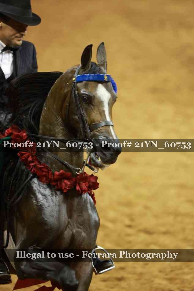 Proof 21YN_60753