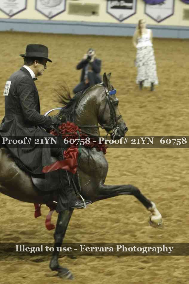 Proof 21YN_60758