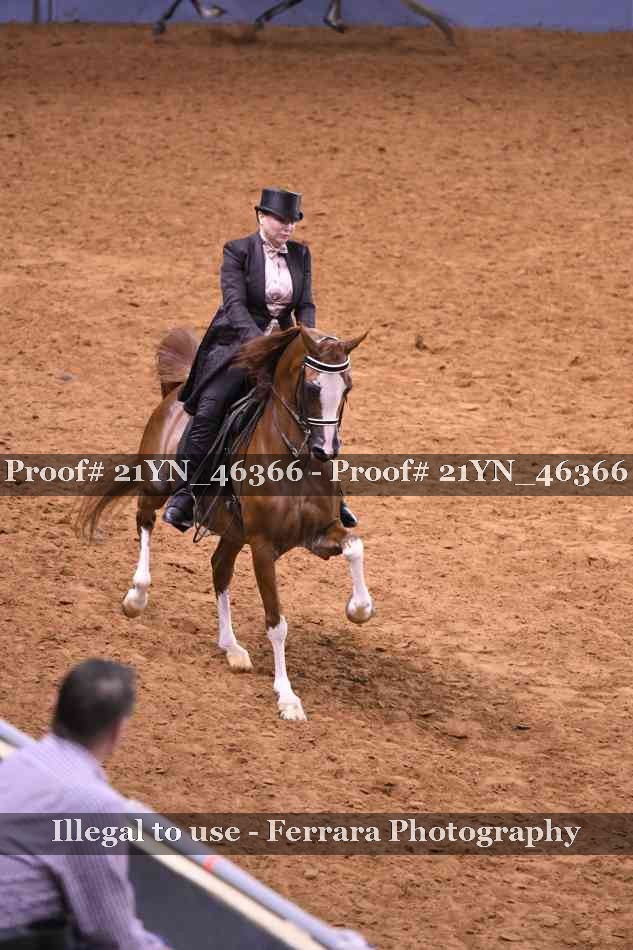 Proof 21YN_46366