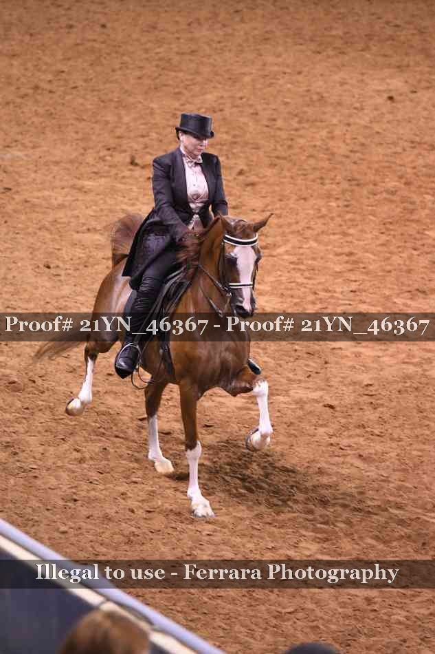 Proof 21YN_46367