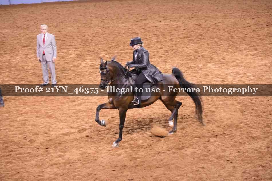 Proof 21YN_46375
