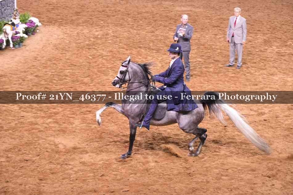 Proof 21YN_46377