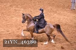 21YN_46380 proof
