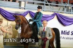 21YN_46383 proof