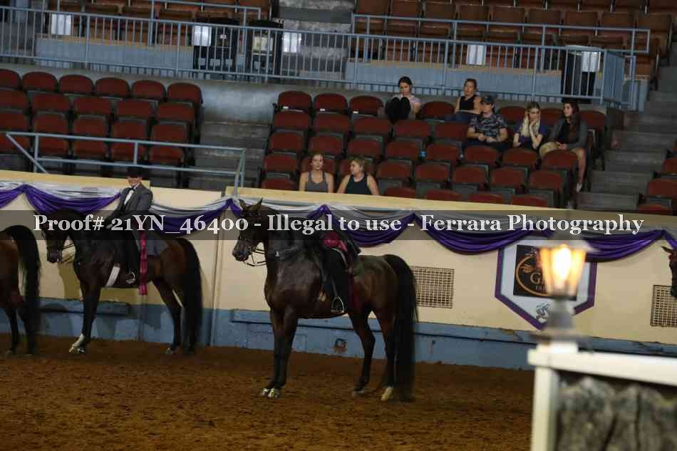 Proof 21YN_46400