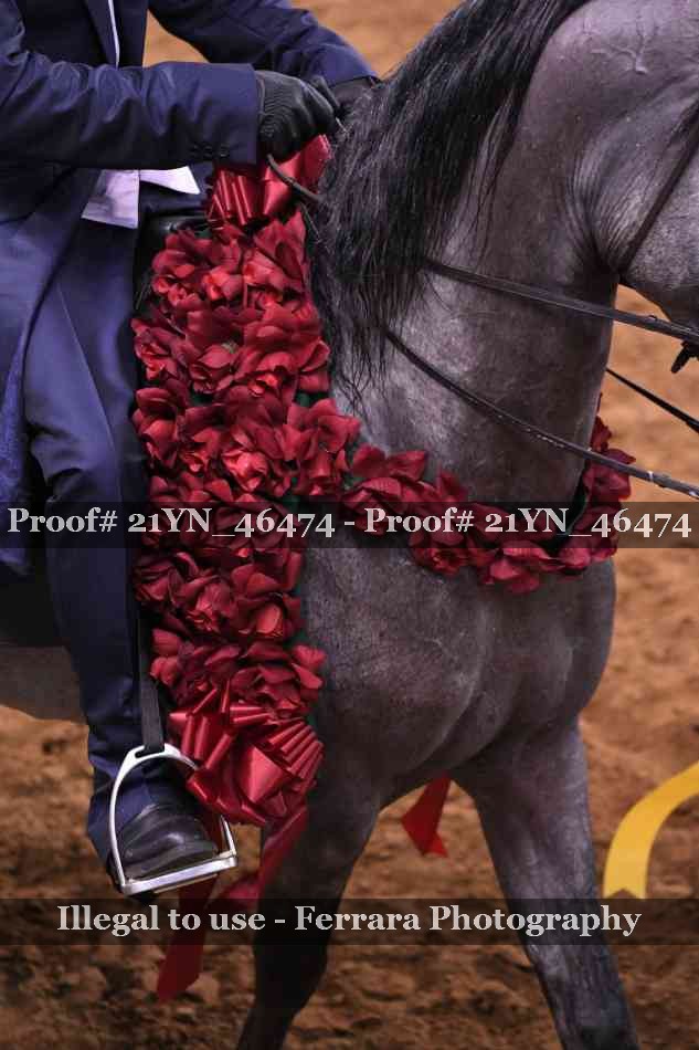 Proof 21YN_46474
