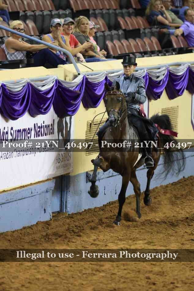 Proof 21YN_46497