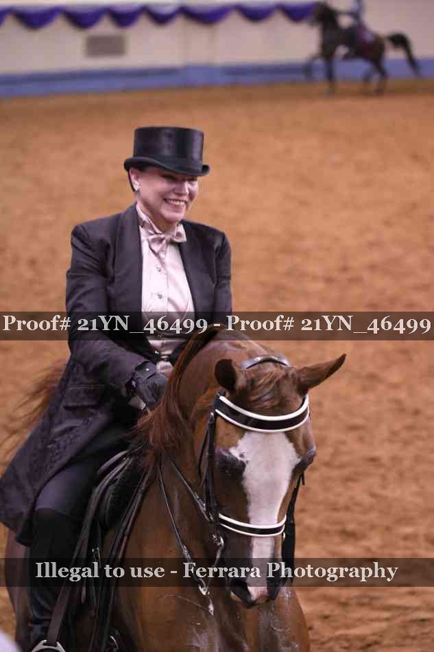 Proof 21YN_46499
