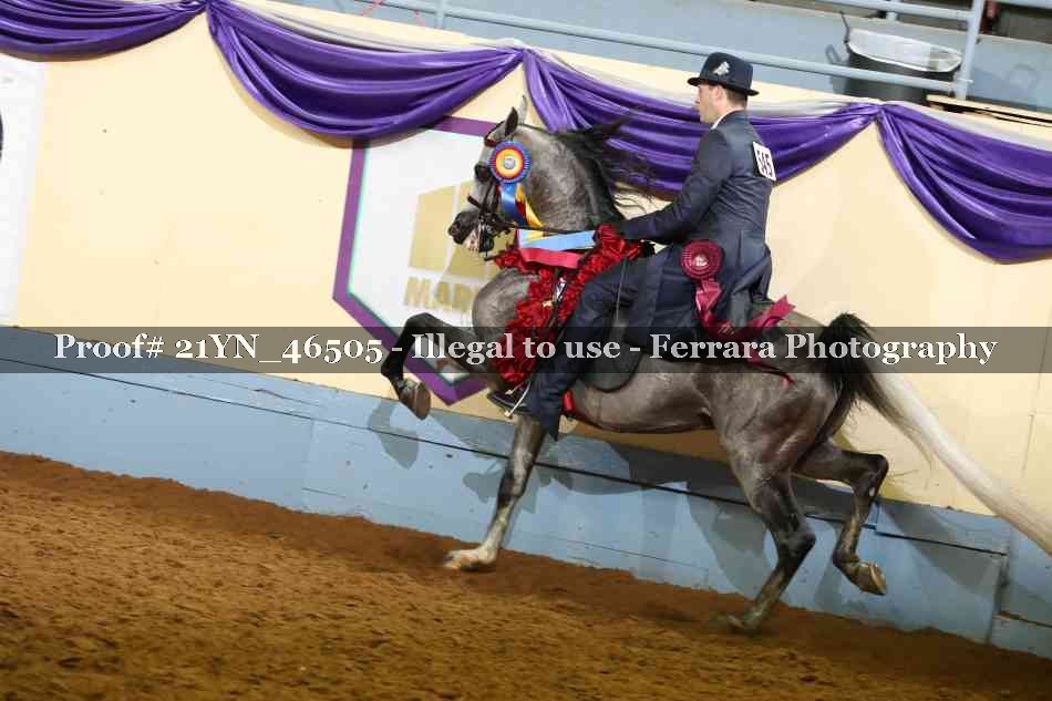 Proof 21YN_46505