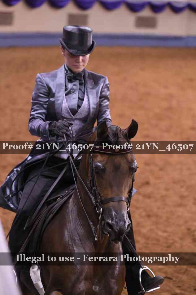 Proof 21YN_46507