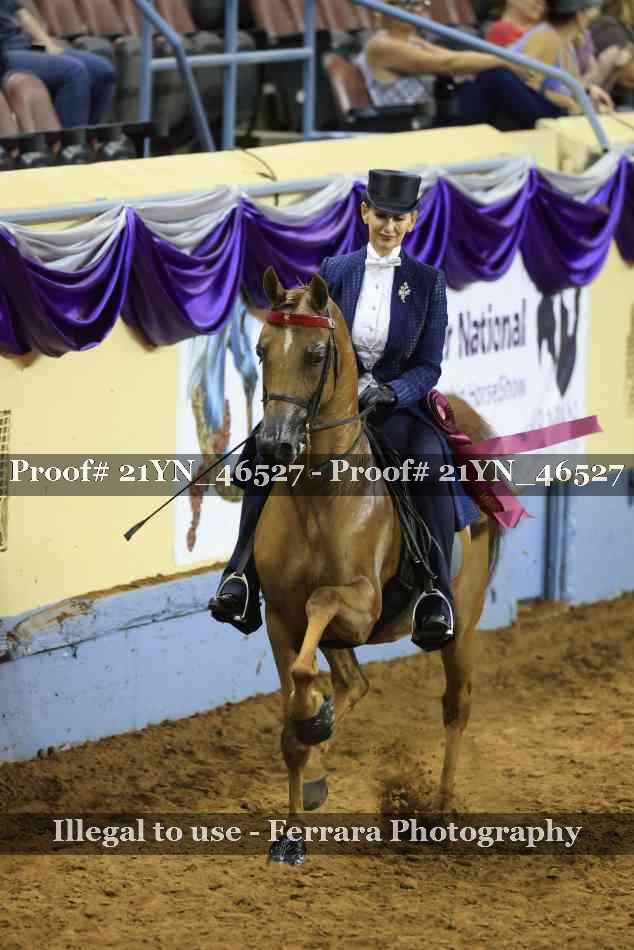 Proof 21YN_46527