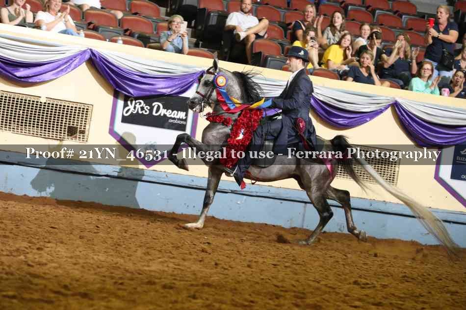 Proof 21YN_46531