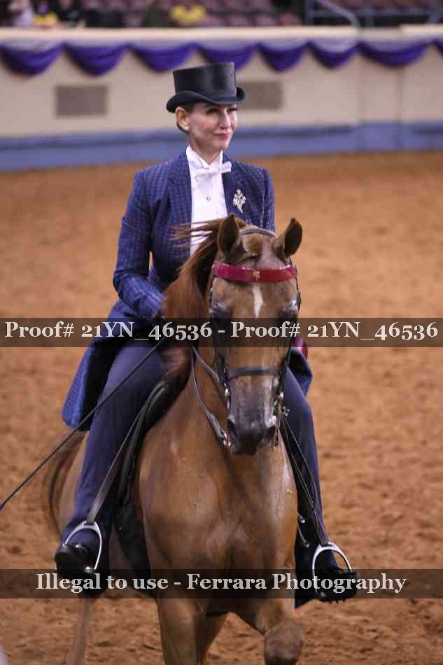 Proof 21YN_46536