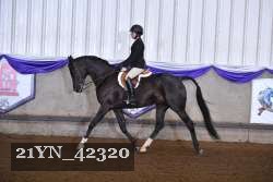 21YN_42320 proof