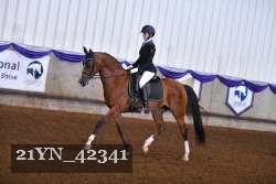 21YN_42341 proof
