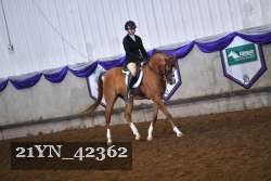 21YN_42362 proof