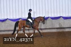 21YN_42371 proof