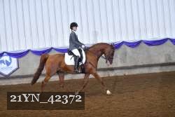 21YN_42372 proof